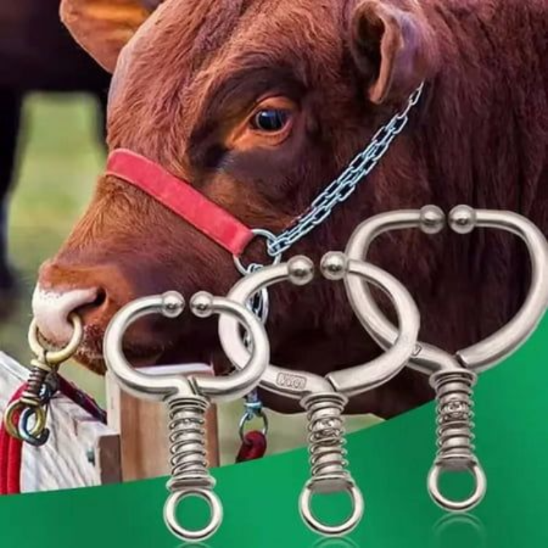 Cow Nose Ring Stainless